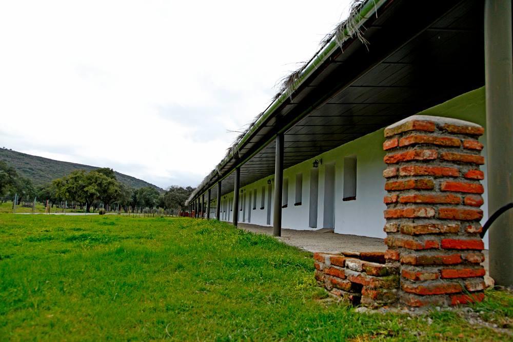 Hotel Rural Puerta De Monfrague Villarreal de San Carlos Eksteriør billede